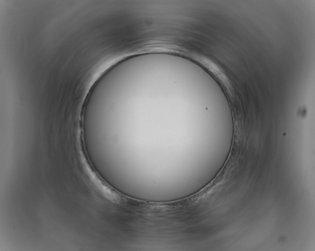 X0000091501431200708161225