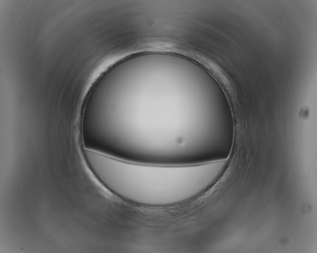 X0000091501432200708161225