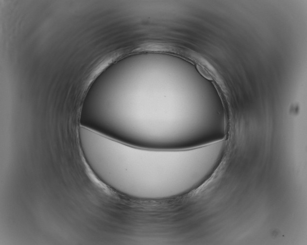 X0000091501433200708161225