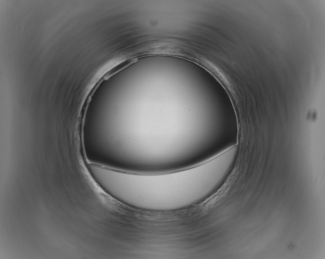 X0000091501434200708161225