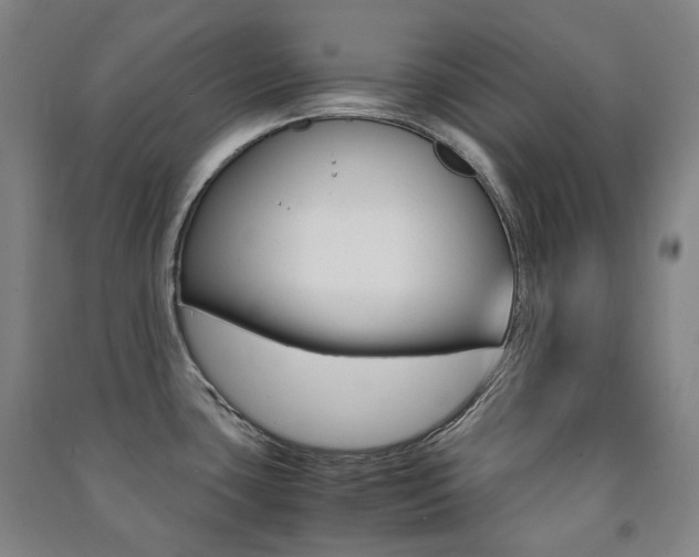 X0000091501435200708161225