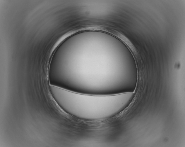 X0000091501436200708161225