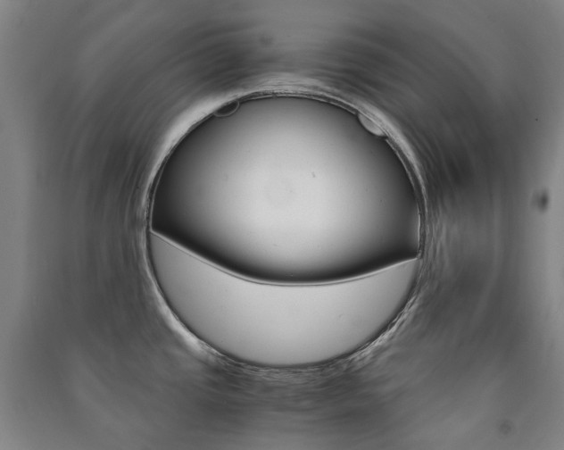X0000091501437200708161225