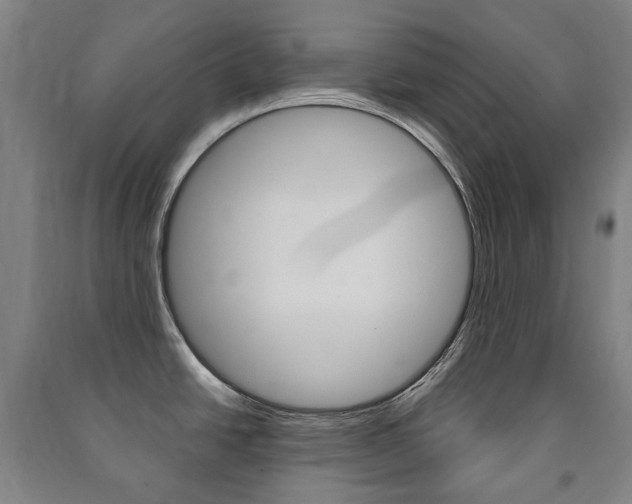 X0000091501438200708161225