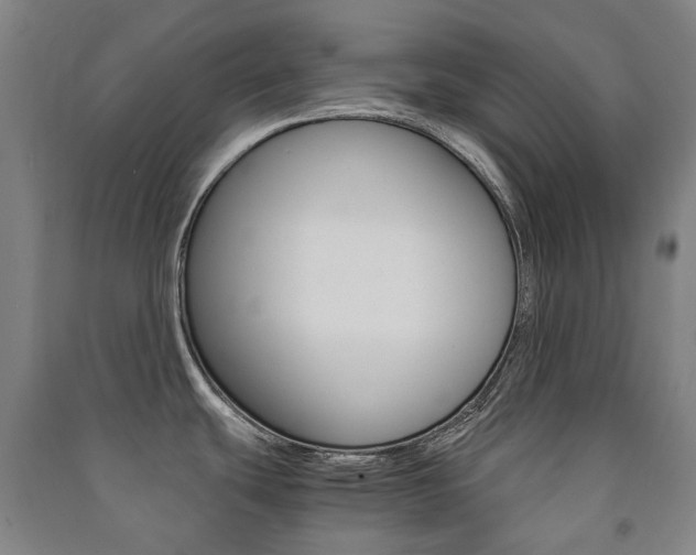 X0000091501439200708161225