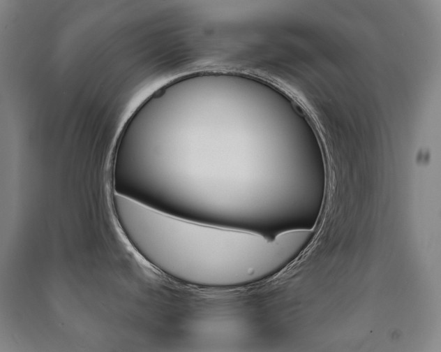 X0000091501440200708161225