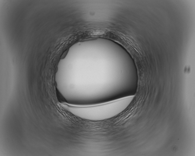 X0000091501441200708161224