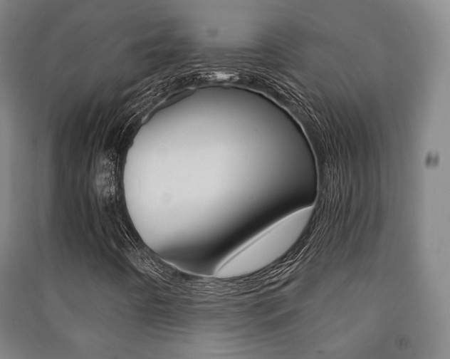 X0000091501442200708161224