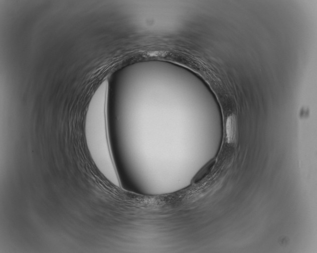 X0000091501443200708161224