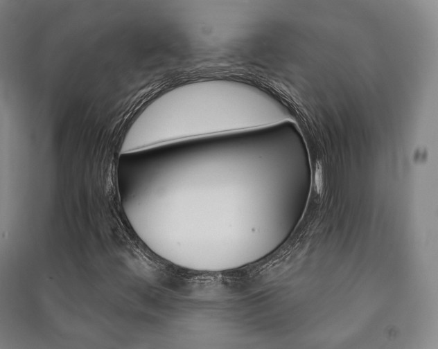 X0000091501444200708161224