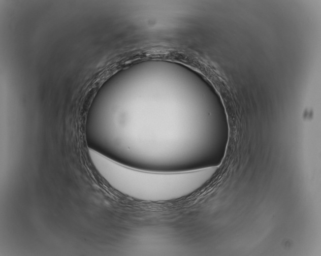 X0000091501445200708161224