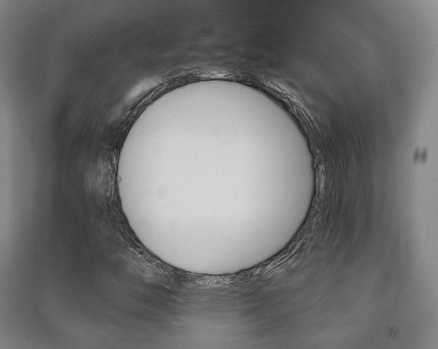 X0000091501446200708161224
