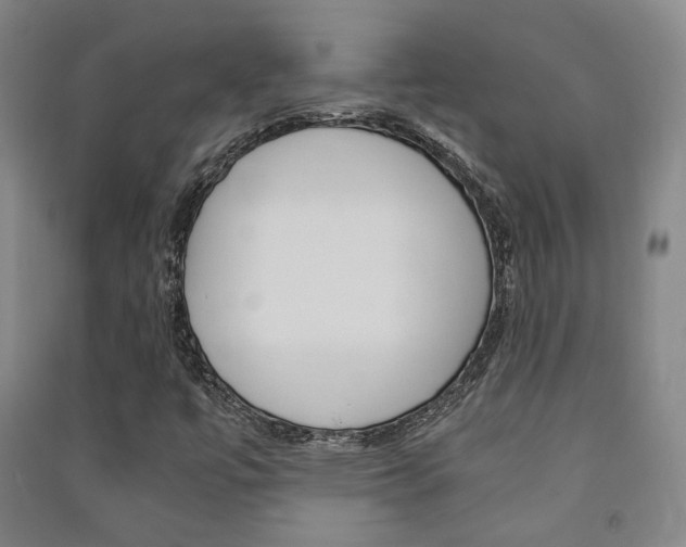X0000091501447200708161224
