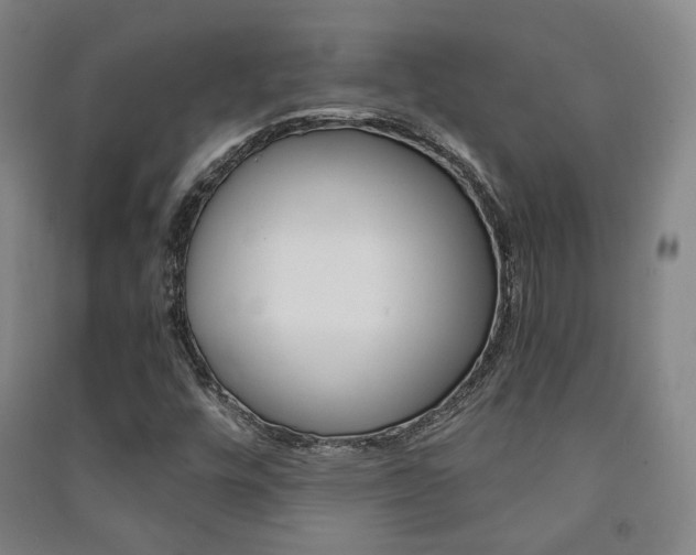 X0000091501448200708161224