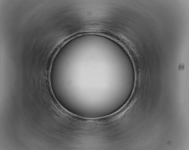 X0000091501449200708161224