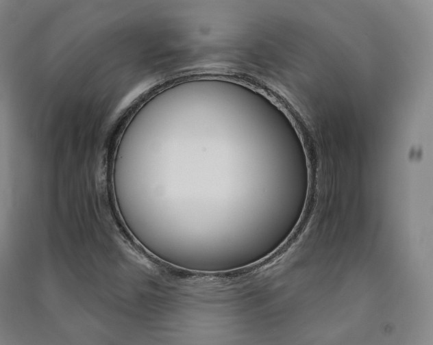 X0000091501450200708161224