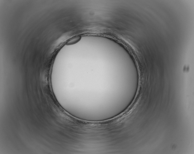 X0000091501451200708161224