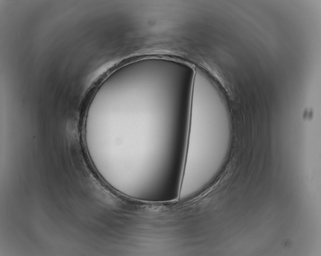 X0000091501452200708161224