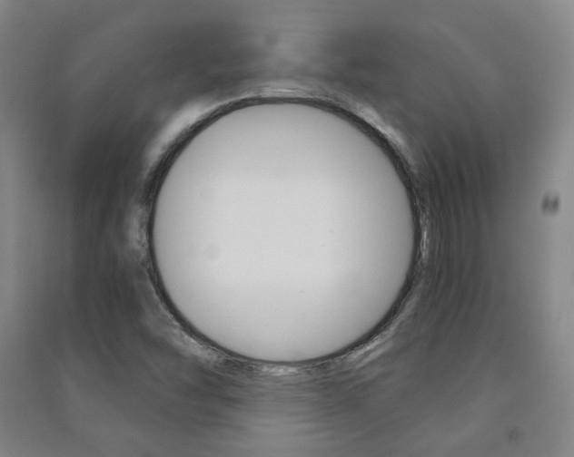 X0000091501454200708161224