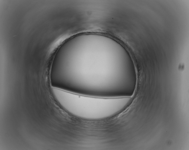 X0000091501455200708161224