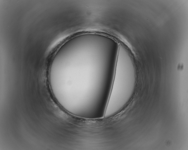 X0000091501456200708161224