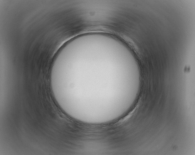X0000091501457200708161224