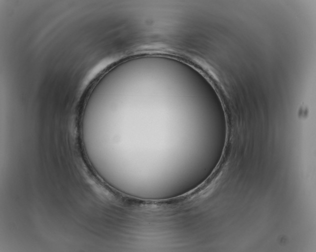 X0000091501458200708161224