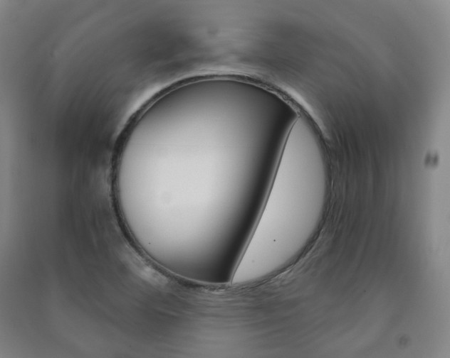 X0000091501460200708161224