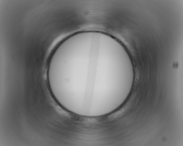 X0000091501462200708161224