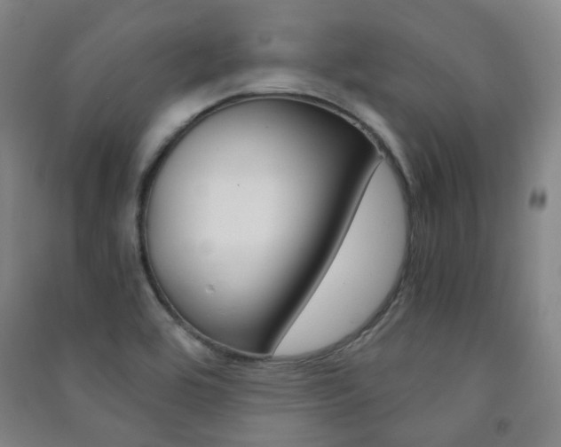 X0000091501464200708161224