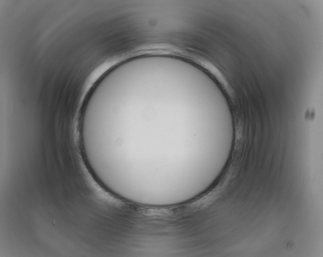 X0000091501466200708161224