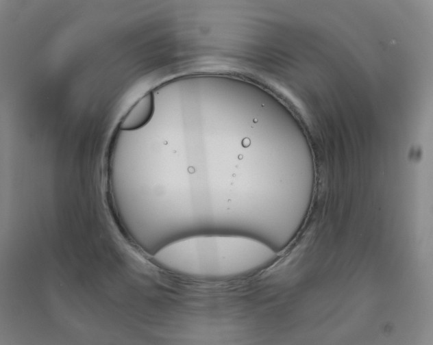 X0000091501467200708161224