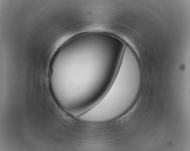 X0000091501469200708161224