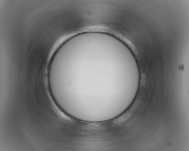 X0000091501470200708161224