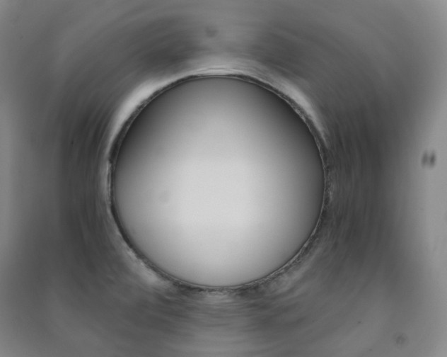 X0000091501472200708161224