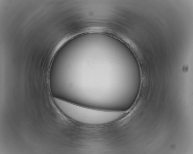 X0000091501473200708161224