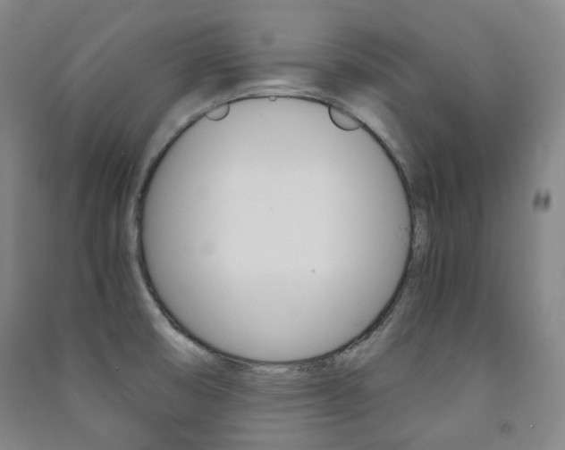 X0000091501474200708161224