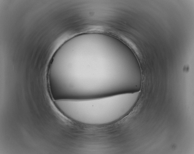 X0000091501475200708161224