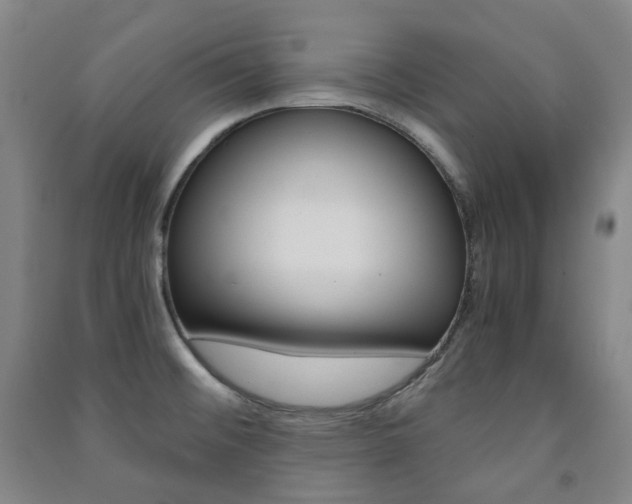 X0000091501476200708161224