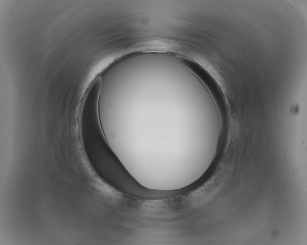 X0000091501477200708161224