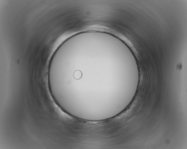 X0000091501478200708161224