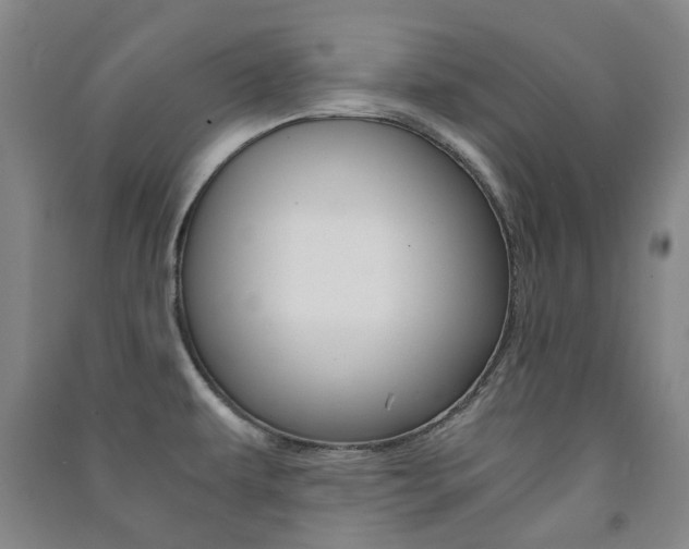 X0000091501479200708161224