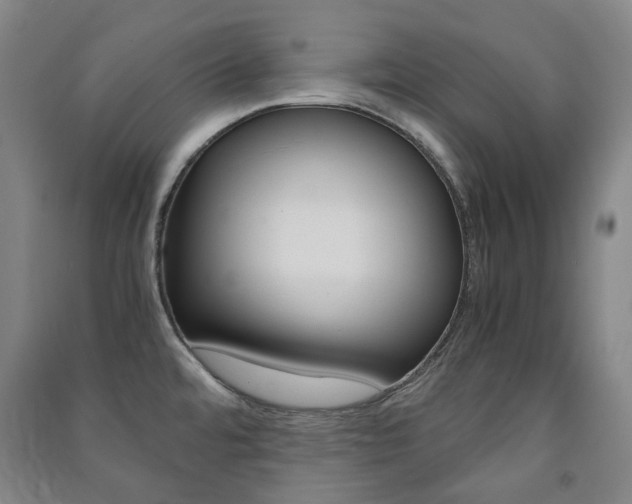 X0000091501480200708161224