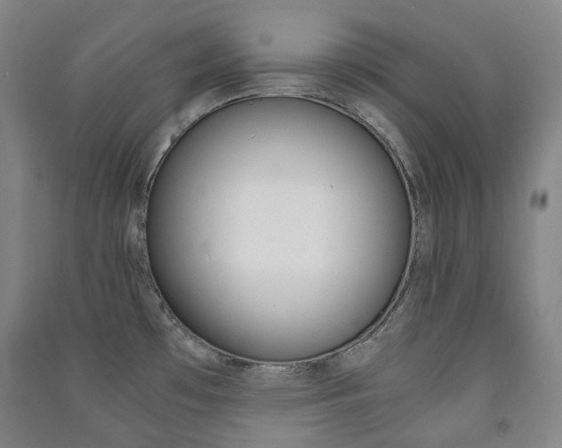X0000091501481200708161224
