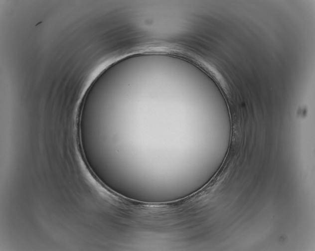 X0000091501483200708161224