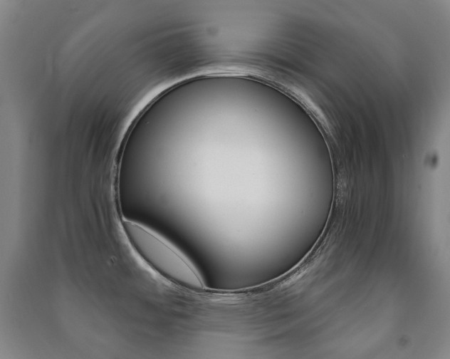 X0000091501484200708161224
