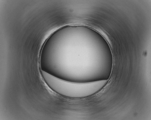 X0000091501485200708161224