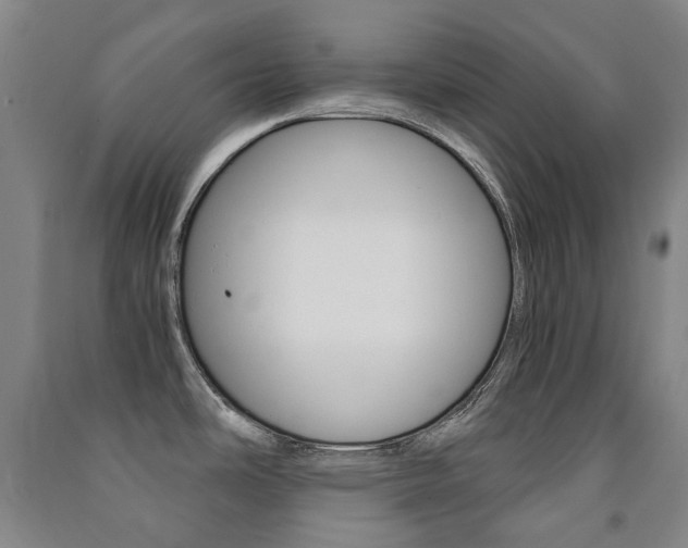 X0000091501486200708161224