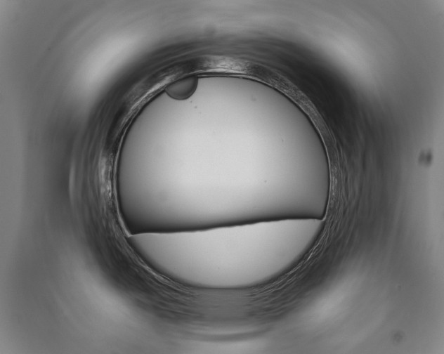 X0000091501487200708161224