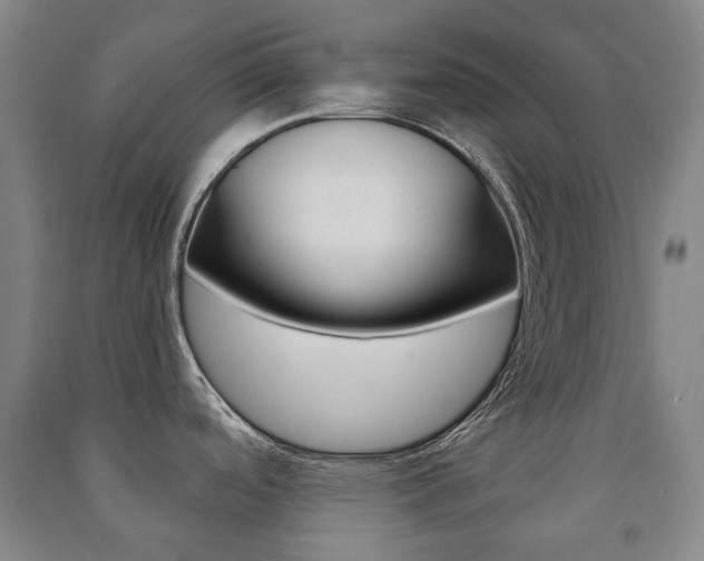 X0000091501488200708161224